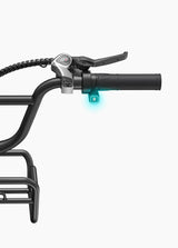 L20 Boost | 250W 126 km Power-boost Torque Sensor Step-Thru E-bike