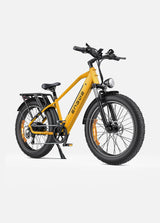 E26 250W 140 km Dual Suspension All-Terrain E-bike