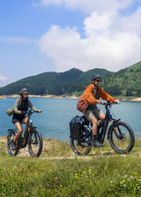 ENGWE E26 3.0 Pro electric bike (twin pack) — product photo 2 of 15