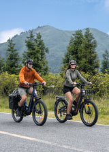 ENGWE E26 3.0 Pro electric bike (twin pack) — product photo 9 of 15