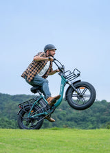 L20 Boost | 250W 126 km Power-boost Torque Sensor Step-Thru E-bike