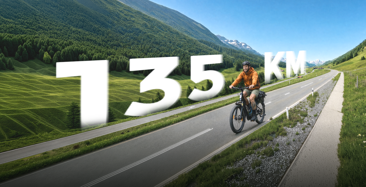 ENGWE E26 3.0 Pro Electric Bike | 48V 15Ah, 21700 Cells