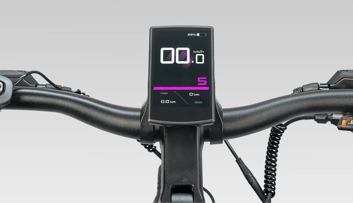 ENGWE E26 3.0 Pro Electric Bike