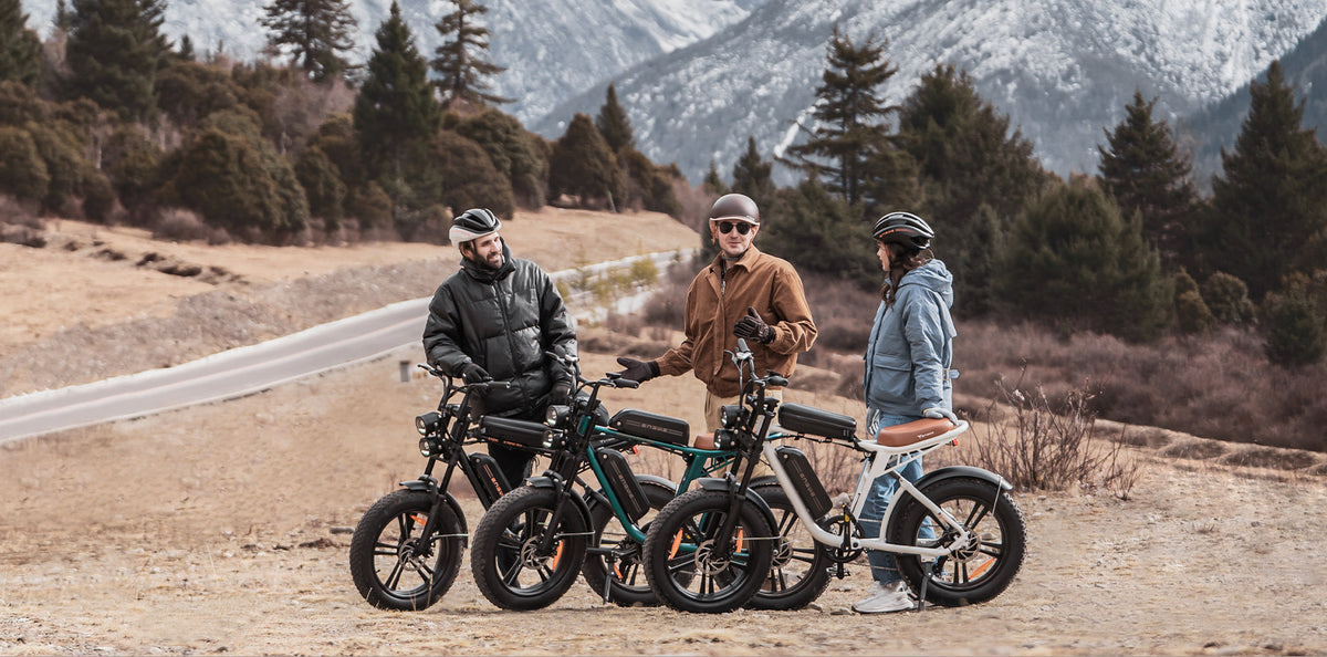 ENGWE M20 Twin Pack | Two Dual-Suspension Fat Tyre E-Bikes