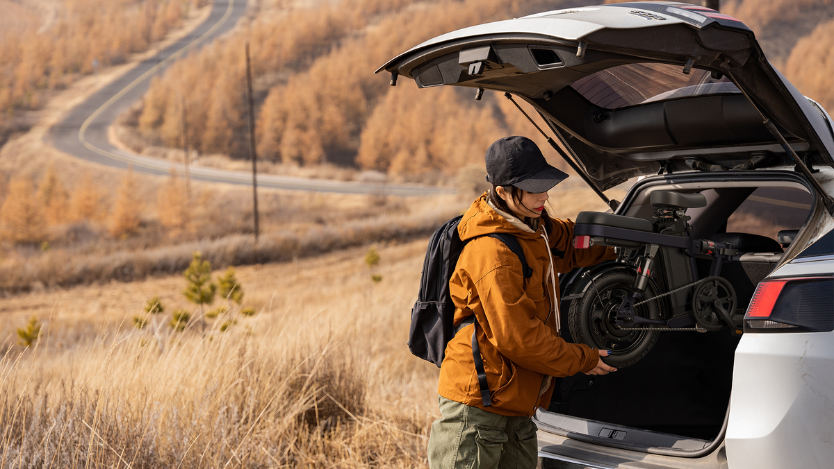 Light and Convenient The light allly can be folded in two simple steps and easily stored in your trunk